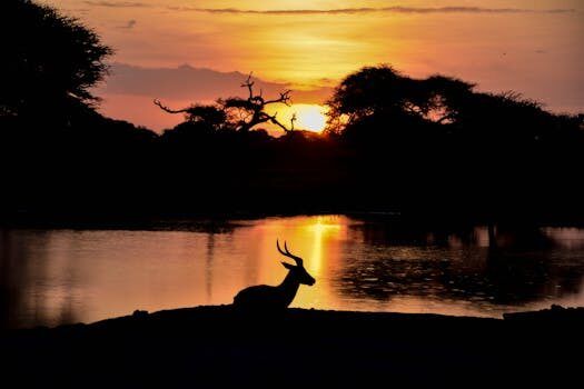 capturan una hermosa postal de un huemul en su entorno 4