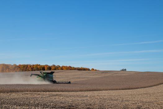 el bcra ofrecera un dolar soja para que el campo liquide la 2