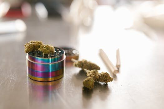 el maiten denunciaron que le robaron una planta de durazno y le descubirieron 26 plantas de marihuana con el reprocan vencido 2