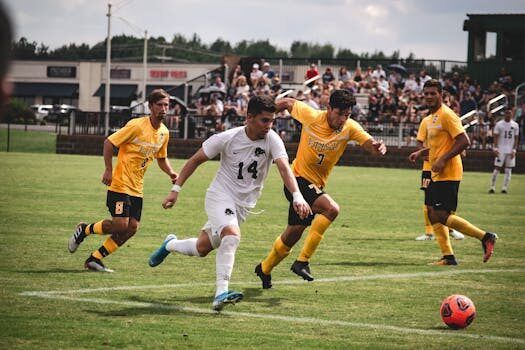 el torneo federal a tendra un solo ascenso a la primera 4