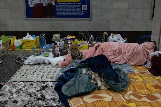 exitoso operativo de evacuacion de cuatro personas en zona 1