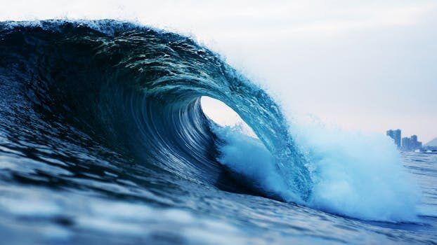 inauguro el local indy surf shop con todas las novedades para los surfistas 2