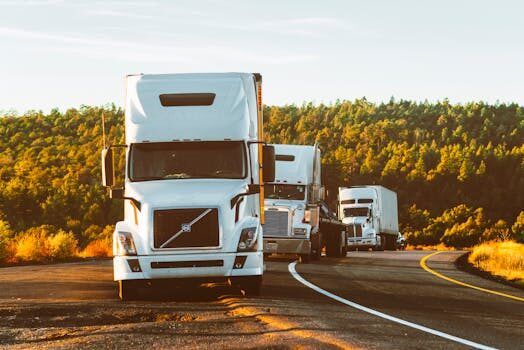 restriccion en rutas nacionales para camiones por el inicio de las vacaciones de invierno 1