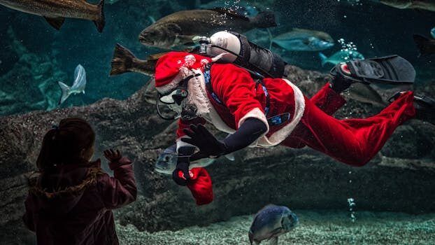 santa cruz el diario web 1