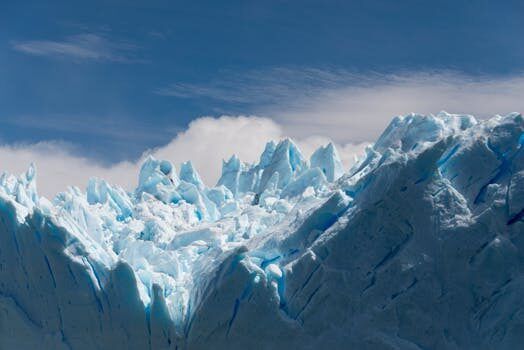 Triunfo de Argentina ante Canadá que sostiene las esperanzas de un nuevo título 6 triunfo de argentina ante canada que sostiene las 1