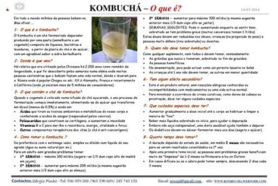 descubre la yogurtera top house de coto tu aliada perfecta para una dieta saludable