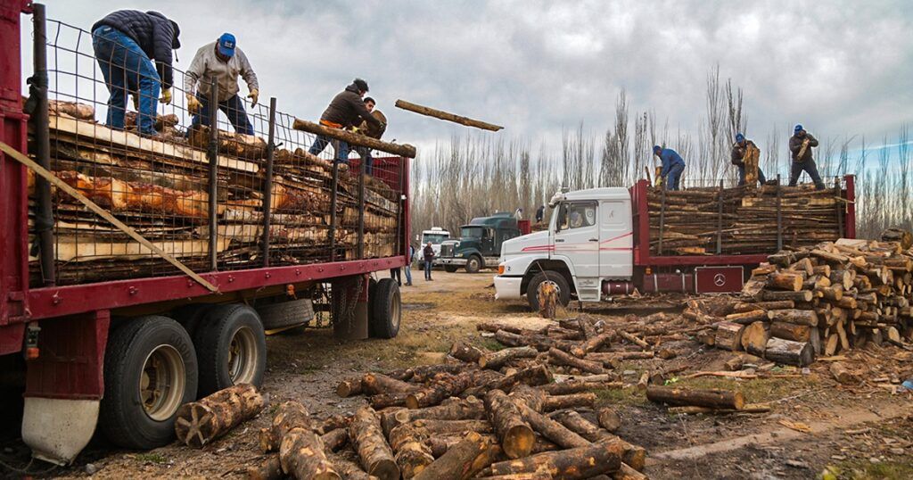 El Gobierno provincial refuerza con 336 millones de pesos el Plan Calor para familias sin gas natural en Chubut. 1 plan calor