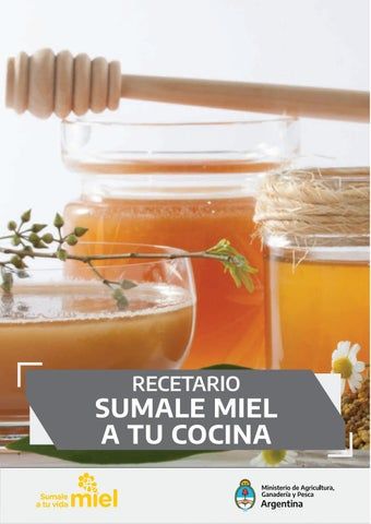Descubriendo el Aceite Yancanelo Coto: Un Imprescindible en Tu Cocina 1 descubriendo el aceite yancanelo coto un imprescindible en tu cocina 1