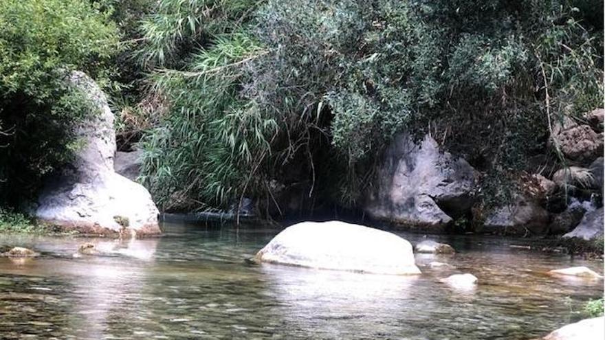 Disfrutando del Verano: Un Recorrido por las Mejores Piletas de Coto 1 disfrutando del verano un recorrido por las mejores piletas de coto
