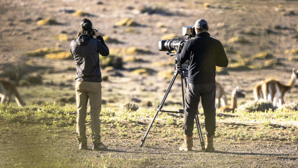 Convocatoria Abierta Fin del Mundo Lab para realizadores audiovisuales en la Patagonia 1 realizador audiovisual