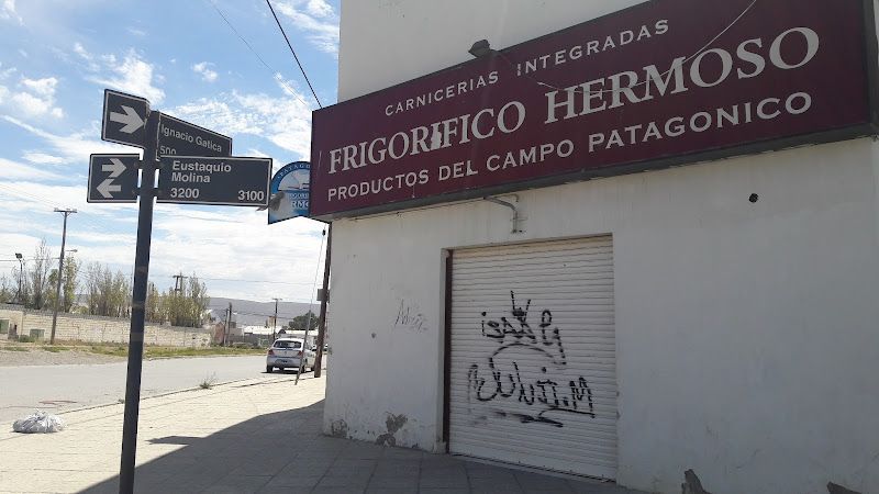 Frigorifico Hermoso 1 Frigorifico Hermoso