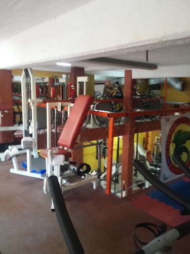 GYM SCULP 1 GYM SCULP