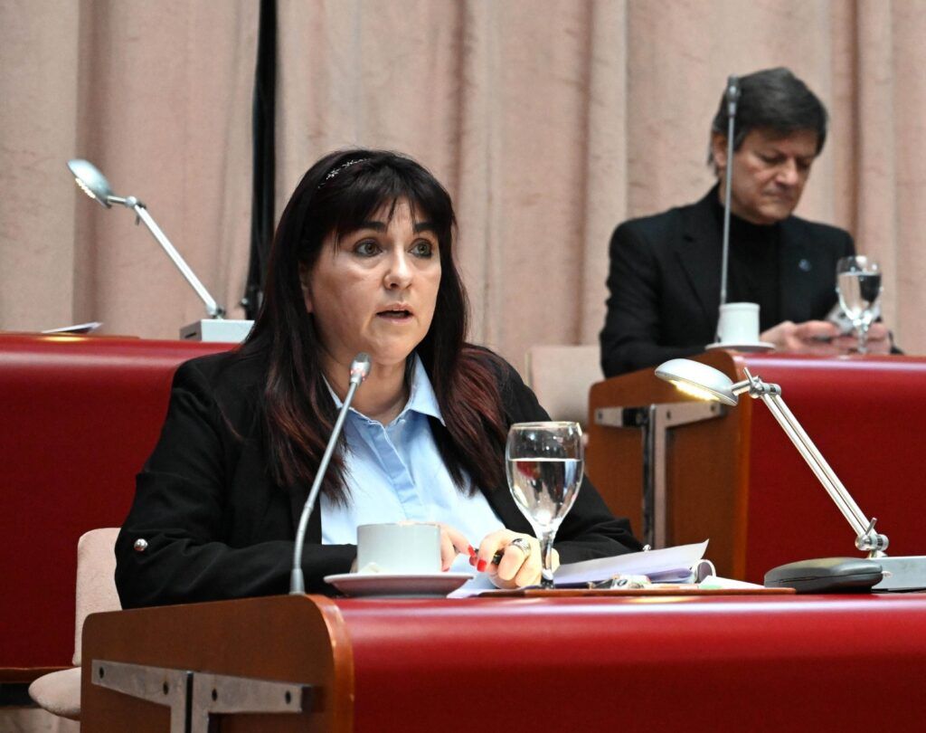 Aprobados dos proyectos para prevenir suicidios en escuelas de Chubut 1 Karina Otero