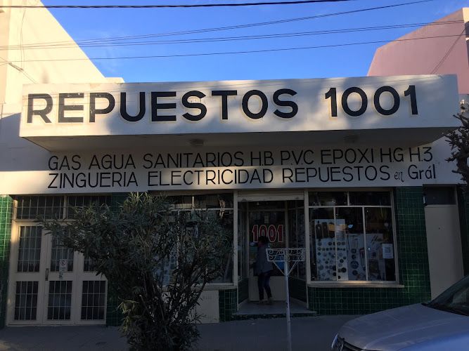 Repuestos 1001 1 Repuestos 1001