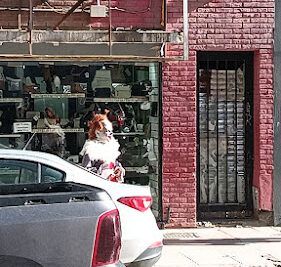 Buena Pata- sede San Martin