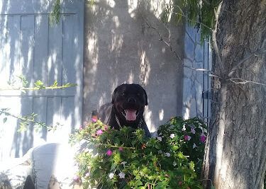 Departamentos Soberania