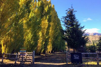 FUPEDES Fundacion Patagonica de Equinoterapia