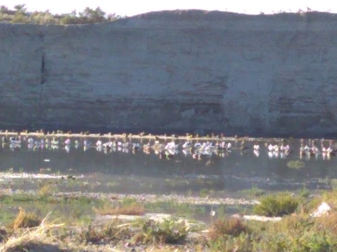 MIRASOLES COMPLEJO DEPORTIVO 1 MIRASOLES COMPLEJO DEPORTIVO