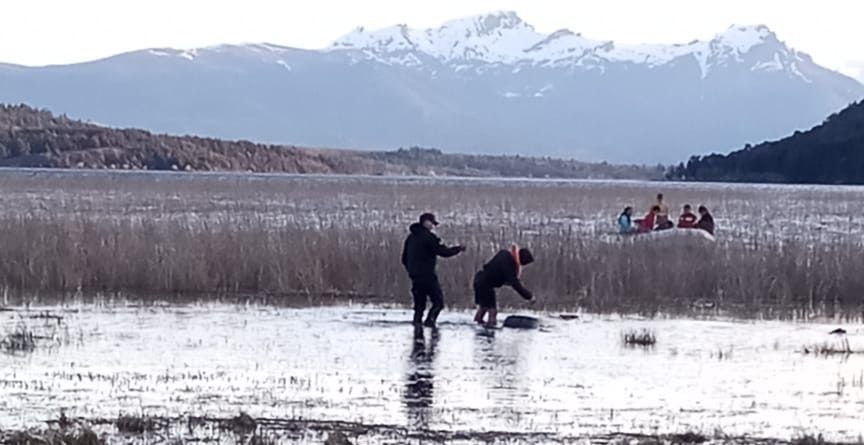 Hallan cuerpo sin vida de joven desaparecida en Lago Lezana 1 cholila e1728907729262