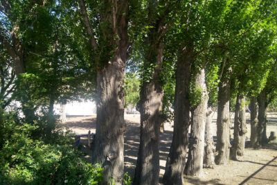 Escuela Provincial N° 100 Bartolomé Mitre