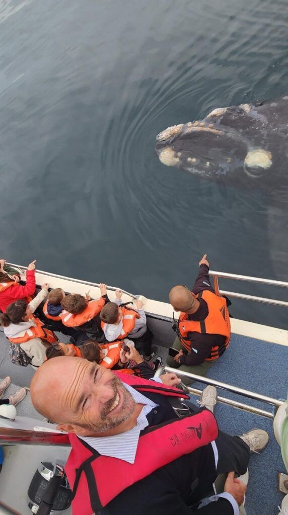 Embajador de la UE en Argentina participa del avistaje de ballenas en Chubut 1 IMG 20241109 WA0085 670x1200