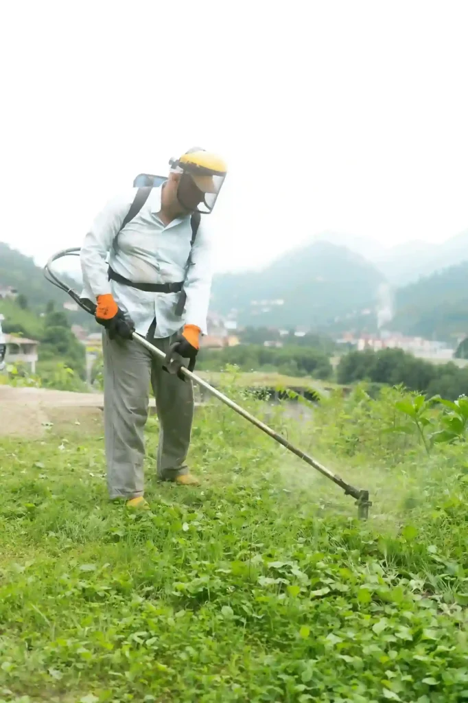 Técnicas y usos de la guadaña en la agricultura: todo lo que necesitas ...