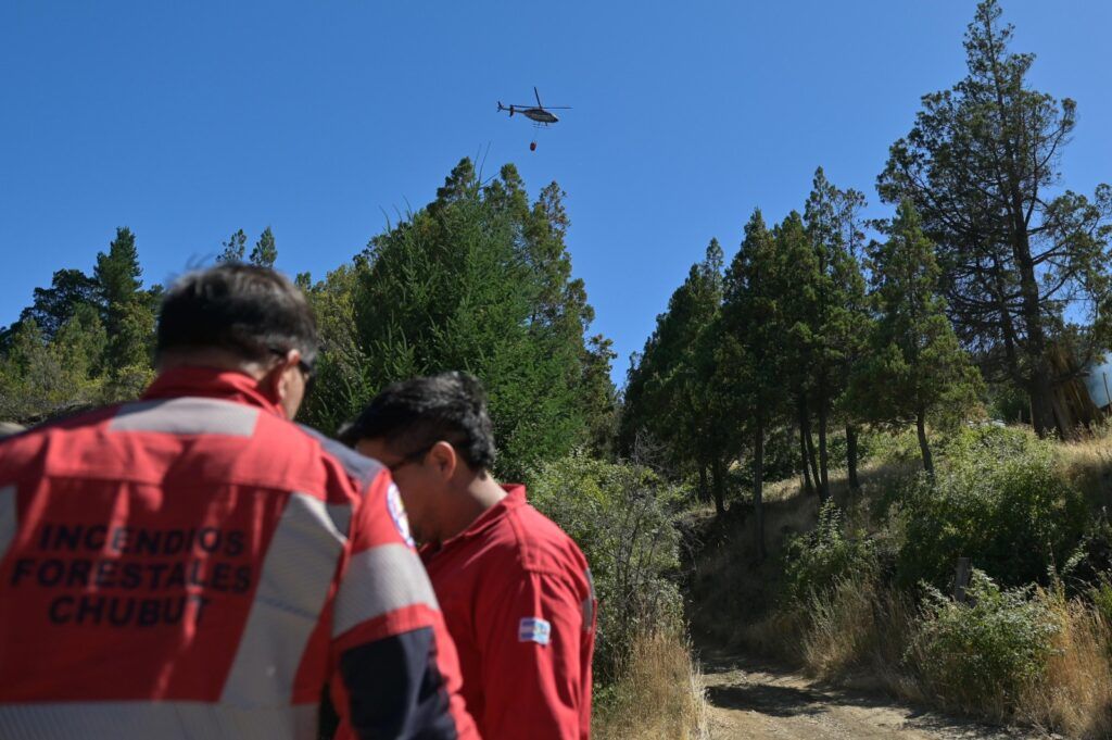 Despliegue de operativos para combatir incendios en la región cordillerana de Chubut: Informe actualizado. 1 1738887590 39a37f6c 5c37 4085 8fc8 bf295d64f029
