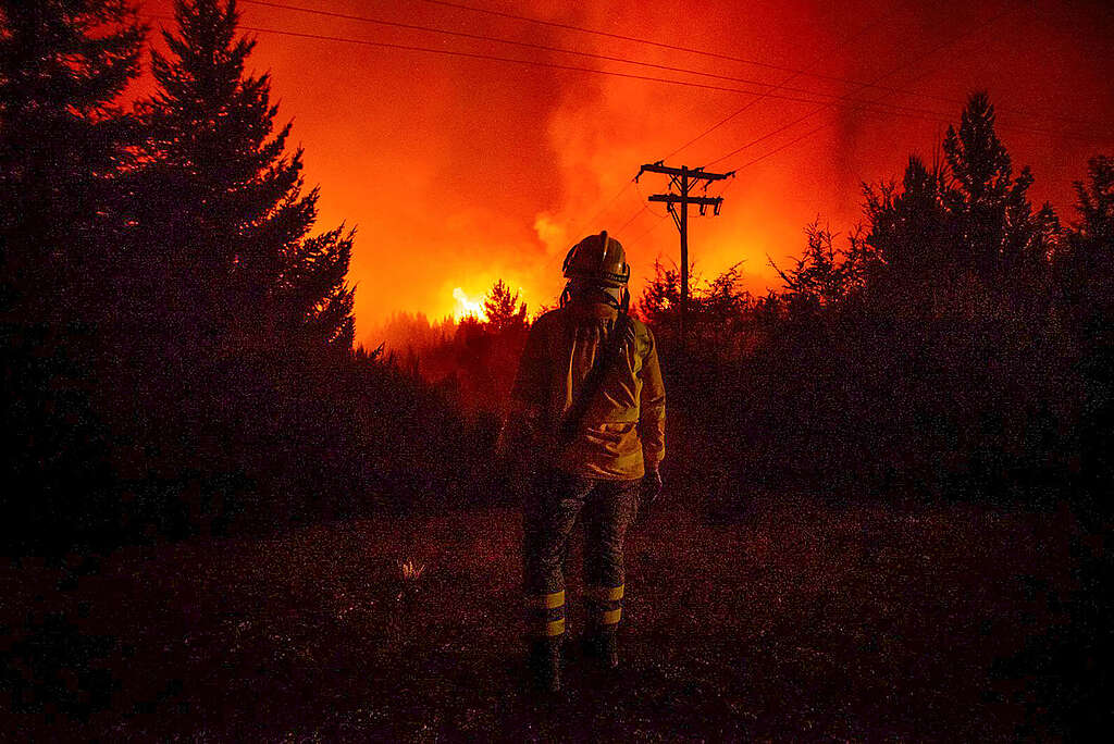 Provincia reconoce labor de brigadistas en el Día Internacional del Combatiente de Incendios Forestales 1 incendio 1