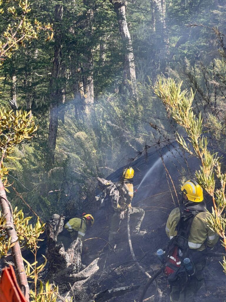 El incendio forestal «Confluencia» en El Bolsón afecta 3.835 hectáreas 1 incendio el bolson 2 768x1024 1