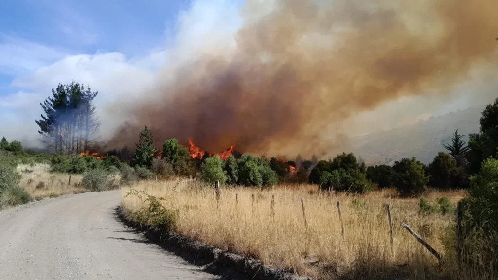 Avanza incendio en Trevelin y Esquel, evacuan familias y se acerca a la Ruta 40. 1 incendio trevelin.webp
