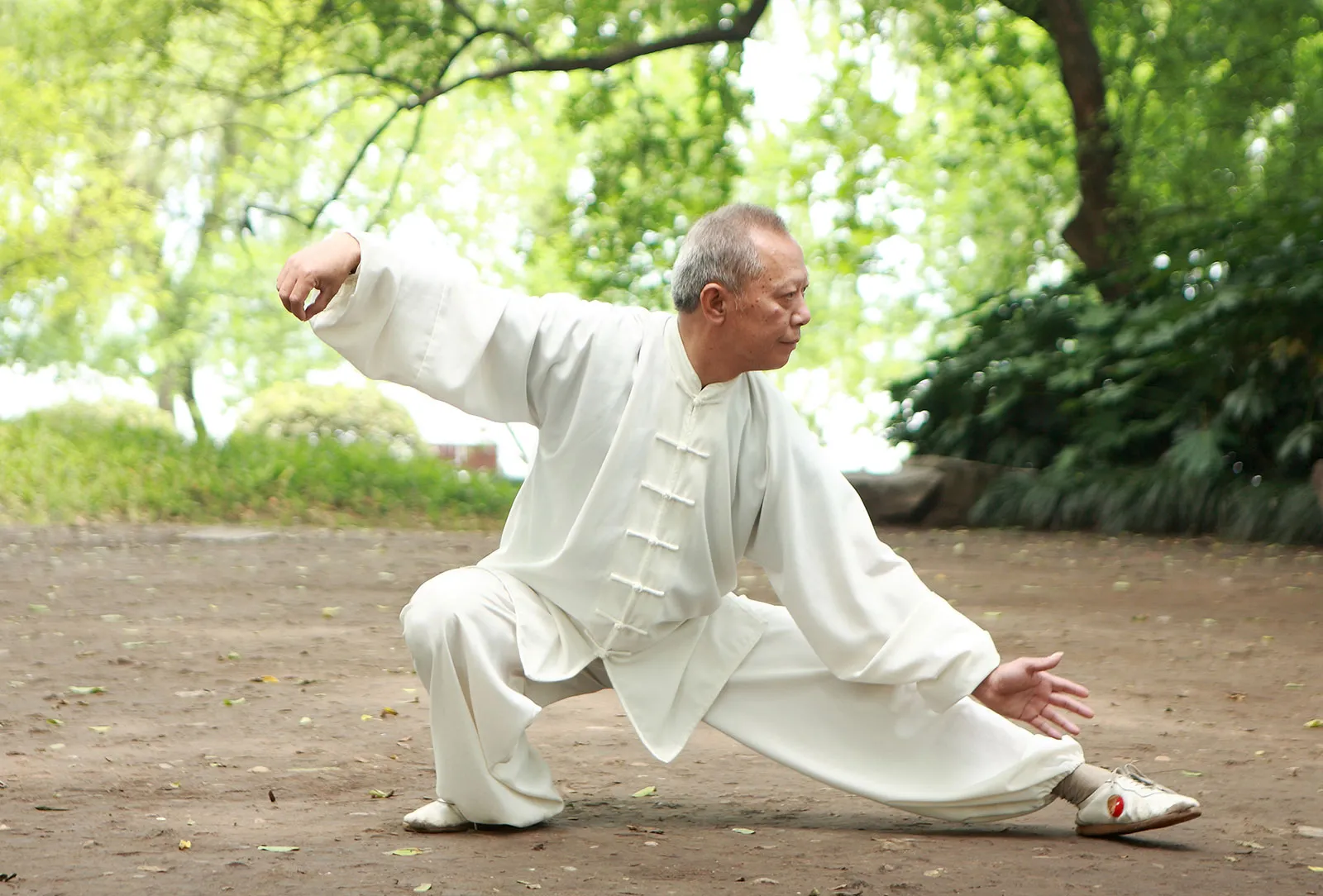 Encuentro Regional de Escuelas de Tai Chi Chuan y Qi Gong en el Día