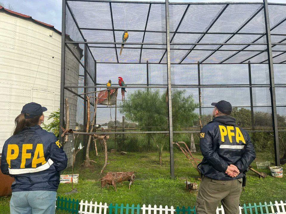 Operativo policial rescata animales en zoológico clandestino en Buenos Aires 1 Gr5aNEtXIAAt21F