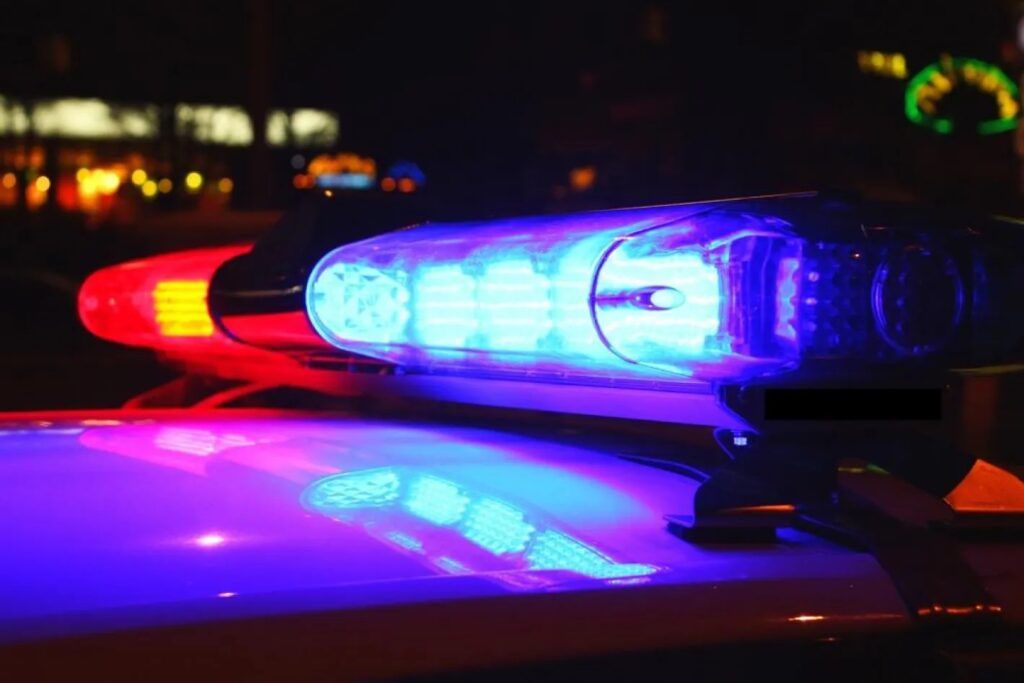 Operativo policial en Trelew: Secuestran cannabis sativa y se identifican 56 autos y 105 personas. 1 luz patrullero