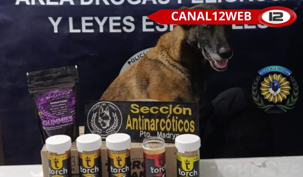 Incautan 118 caramelos de goma de marihuana en la Terminal de Ómnibus de Puerto Madryn 1 og 695298 facebook 695299 wm1768603849