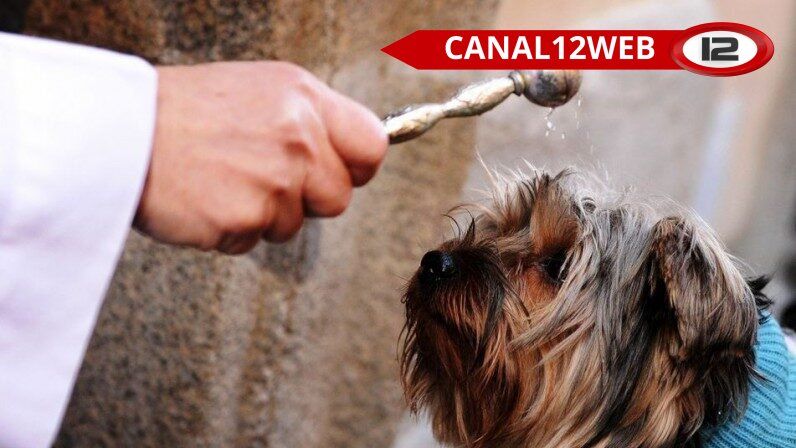 og 699425 facebook 699430 wm1768603849