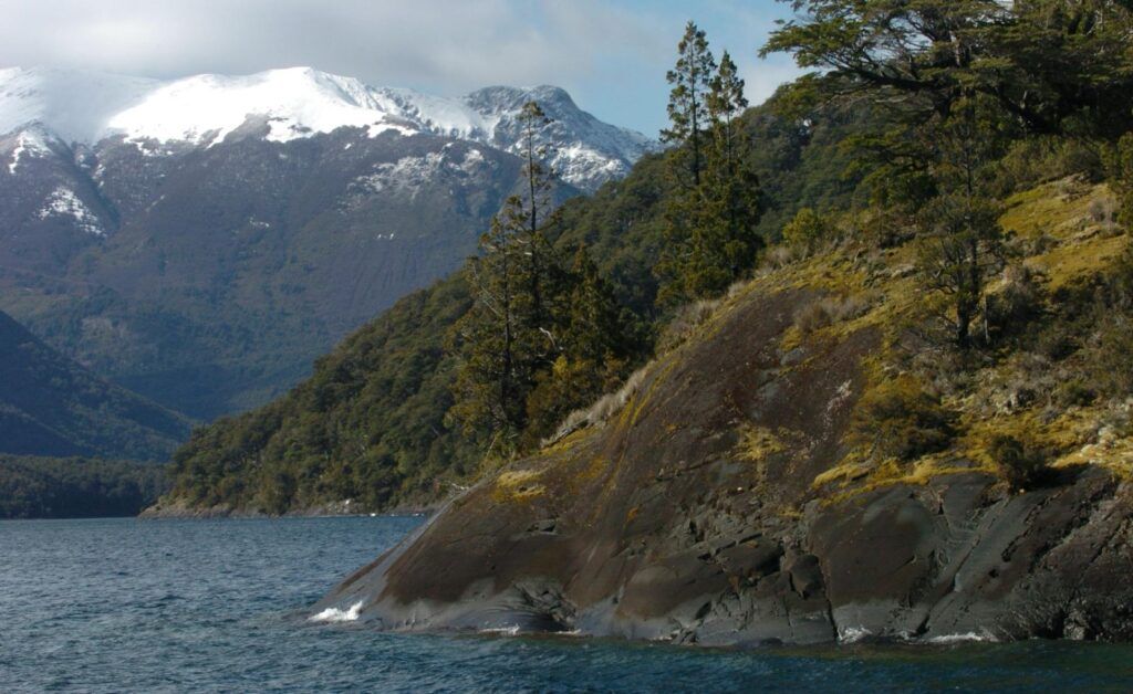 Convocatoria abierta del Gobierno del Chubut para proyectos de manejo y conservación de bosques nativos. 1 544348f9 eebd 4863 b5f5 b656b43dfc2d
