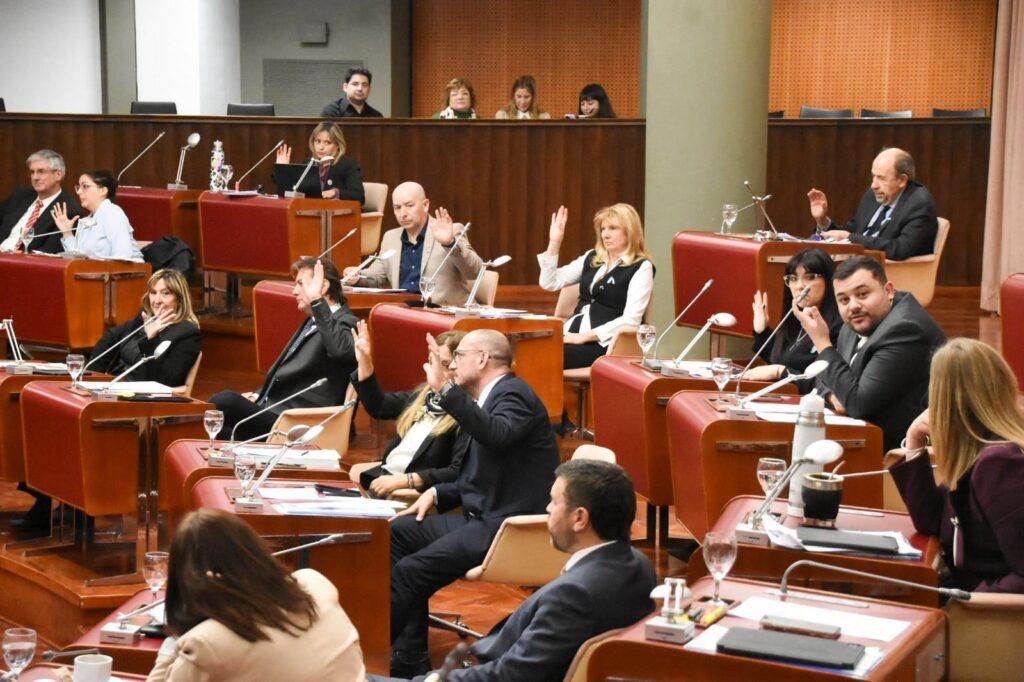 Chubut aprueba Ley Antimafias para combatir el crimen organizado 1 6afafbea d3ff 4073 826f 72d24ae2f70a