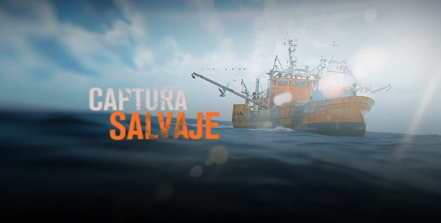 Proyección de la serie documental Captura Salvaje sobre la pesca del langostino en Puerto Rawson en el Ecocentro de Puerto Madryn el viernes 12 de junio a las 19:30 horas. ¡Entrada libre y gratuita! 1 73b7ea74 9069 4462 963b ee0a9abe77e9
