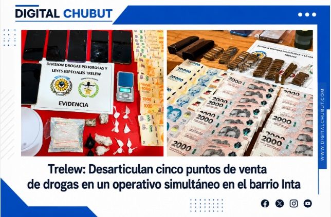 Desmantelan red de comercialización de estupefacientes en Trelew: cinco detenidos y gran cantidad de droga incautada 1 trelew droga