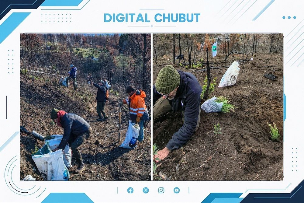 Campaña de reforestación en Chubut: más de 32.000 árboles nativos plantados hasta el momento. 1 BOSQUE EPUYEN 23 SEP