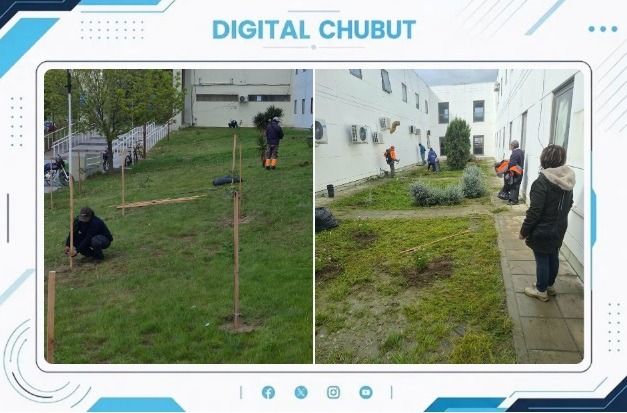 Hospital Zonal Andrés Ísola de Puerto Madryn embellece sus espacios verdes en colaboración con el Vivero Municipal 1 HOSPITAL 22 OCT